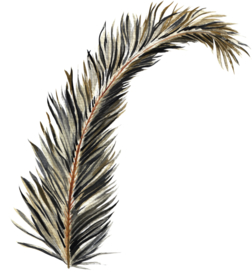 北欧小清新水彩植物图案