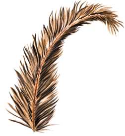 北欧小清新水彩植物图案