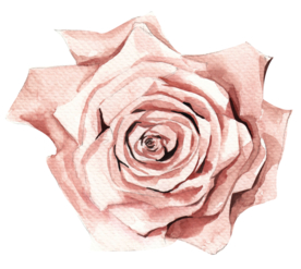 北欧小清新水彩植物图案