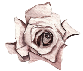 北欧小清新水彩植物图案