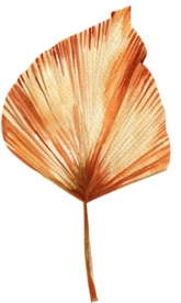 北欧小清新水彩植物图案