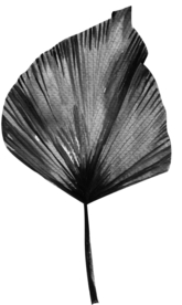 北欧小清新水彩植物图案