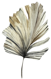 北欧小清新水彩植物图案