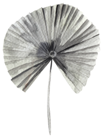 北欧小清新水彩植物图案