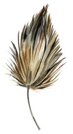 北欧小清新水彩植物图案