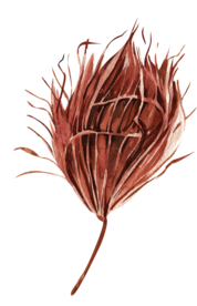 北欧小清新水彩植物图案