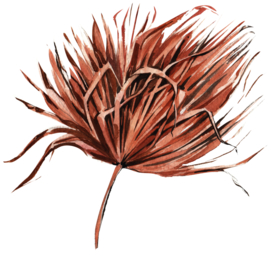 北欧小清新水彩植物图案