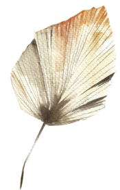 北欧小清新水彩植物图案