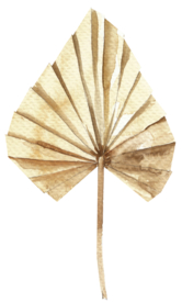 北欧小清新水彩植物图案