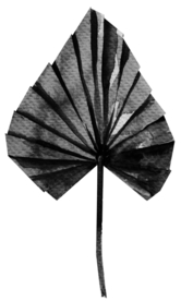 北欧小清新水彩植物图案