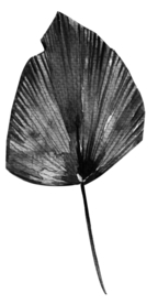 北欧小清新水彩植物图案