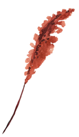 北欧小清新水彩植物图案