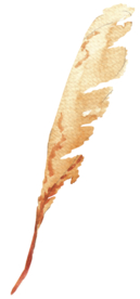 北欧小清新水彩植物图案