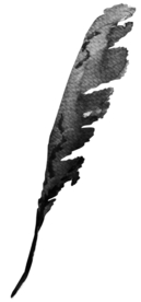 北欧小清新水彩植物图案