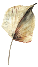 北欧小清新水彩植物图案