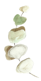 北欧小清新水彩植物图案