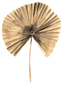 北欧小清新水彩植物图案