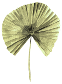 北欧小清新水彩植物图案