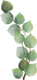 北欧小清新水彩植物图案