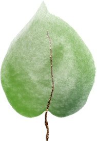 北欧小清新水彩植物图案