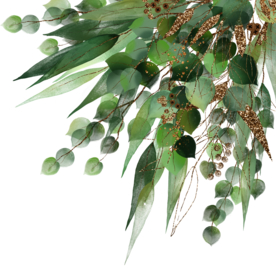 北欧小清新水彩植物图案