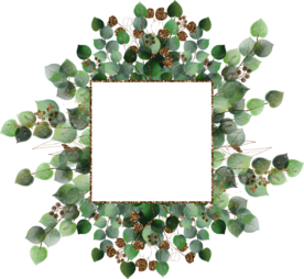 北欧小清新水彩植物图案