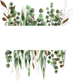 北欧小清新水彩植物图案