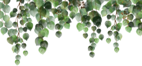 北欧小清新水彩植物图案