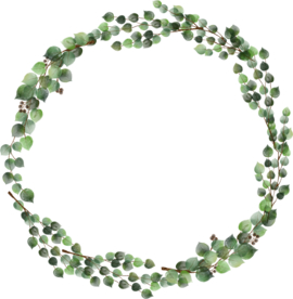 北欧小清新水彩植物图案