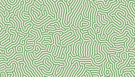 花纹无缝图案 无缝印花