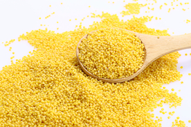 优质黄金小米图片