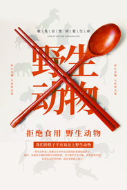 野生动物公益活动海报素材
