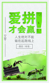 校园文化活动宣传海报素材