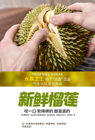 榴莲水果活动宣传海报素材