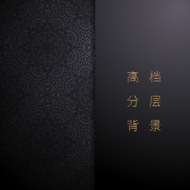 高档豪华奢华欧式花纹背景矢量图