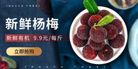 新鲜杨梅水果活动海报素材