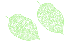 树叶卡通矢量图