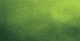 绿色磨砂背景
