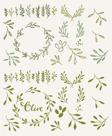 橄榄枝矢量剪贴画