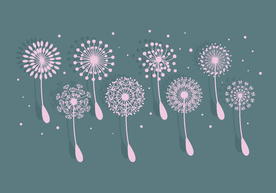 手绘卡通蒲公英