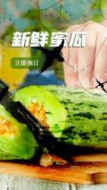 新鲜蜜瓜水果夏季海报素材