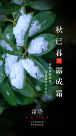 霜降节气传统活动海报素材