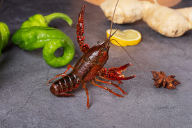 小龙虾海鲜水产海报背景素材