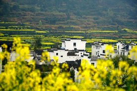 婺源