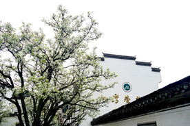 婺源