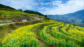 婺源