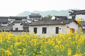 婺源