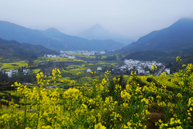 婺源