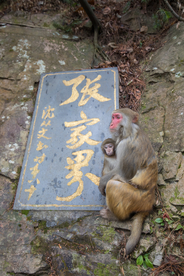张家界