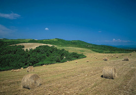 蓝天白云  湖泊  草原牧场